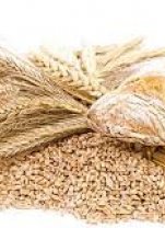 Gluten – przyjaciel czy wróg? 